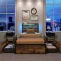 Costway Twin Size Bed Frame w/ Drawers LED Lights Outlets & USB Ports Smart APP Control